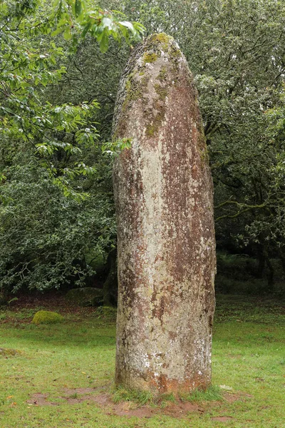 Menhir Kerampeulven Berrien Departement Finistere Bretania Francja — Zdjęcie stockowe