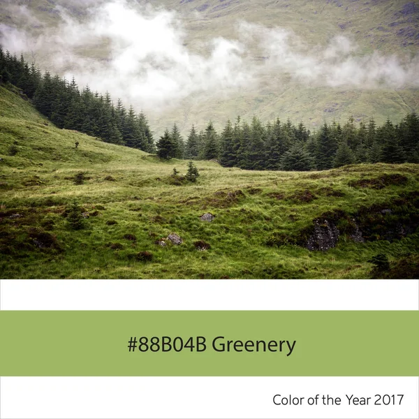 El color verde del año - Scottish Highlands —  Fotos de Stock