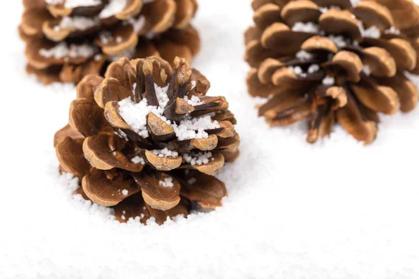Gruppo di coni di abete sulla neve — Foto Stock