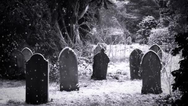 Gravestones no cinemagrama de neve . — Vídeo de Stock