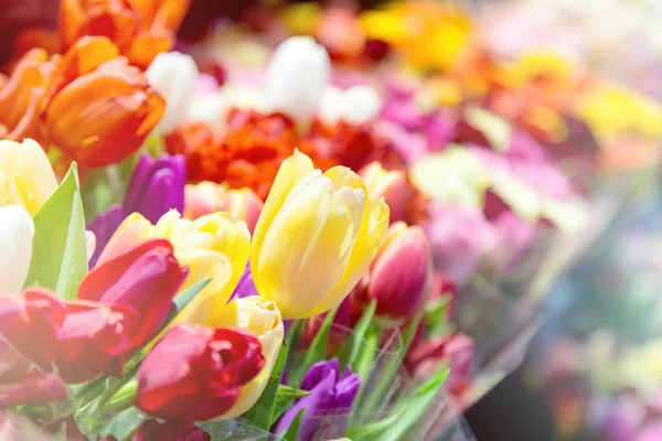 Tulpen im Blumenladen — Stockfoto