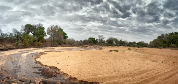 Suche koryto rzeki w parku narodowym Krugera — Zdjęcie stockowe