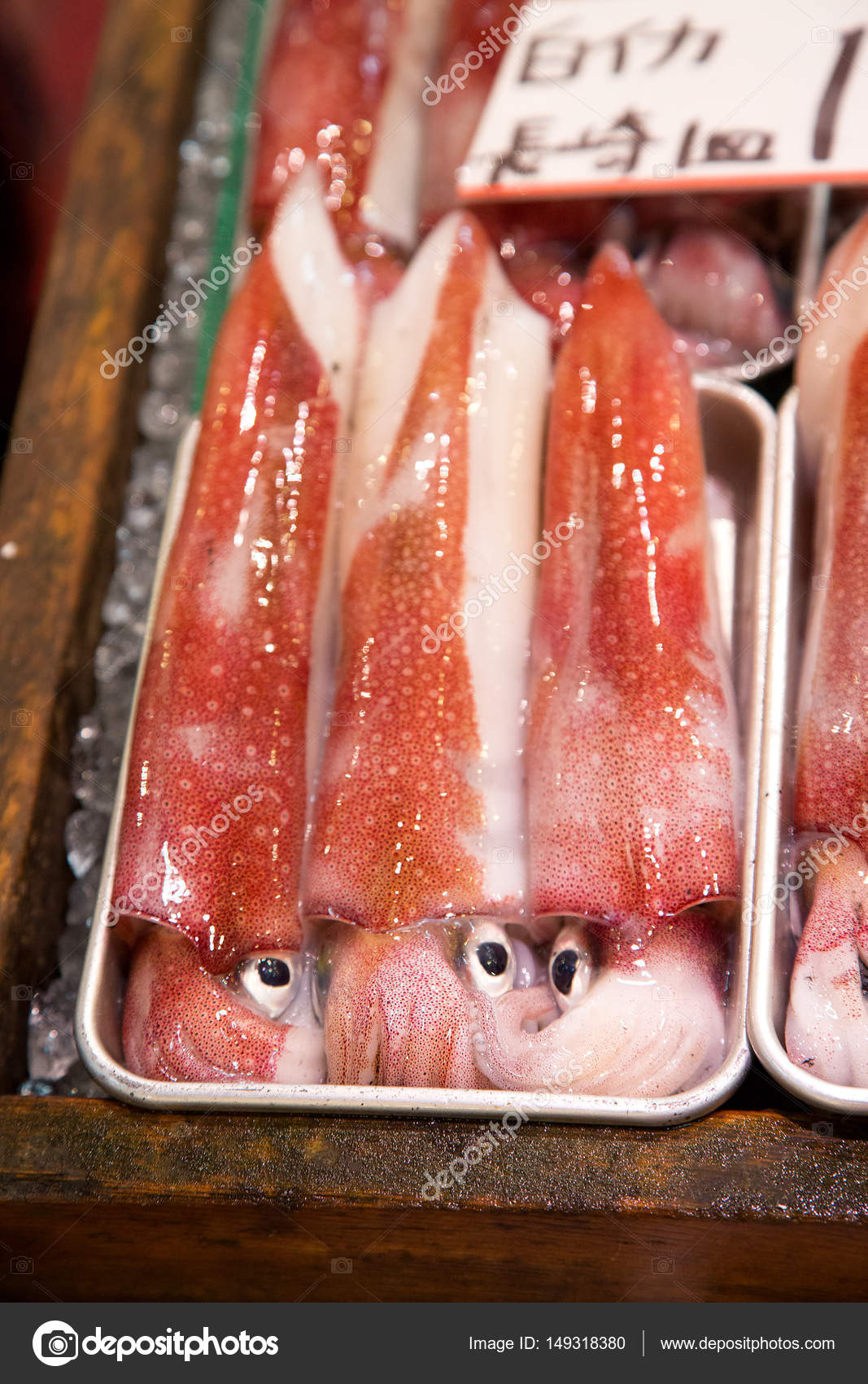 Squid for sale at Tsukiji market Stock Photo by ©rixipix 149318380