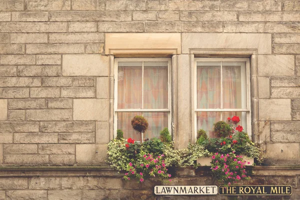 Wall and floral window box — Stock Photo, Image