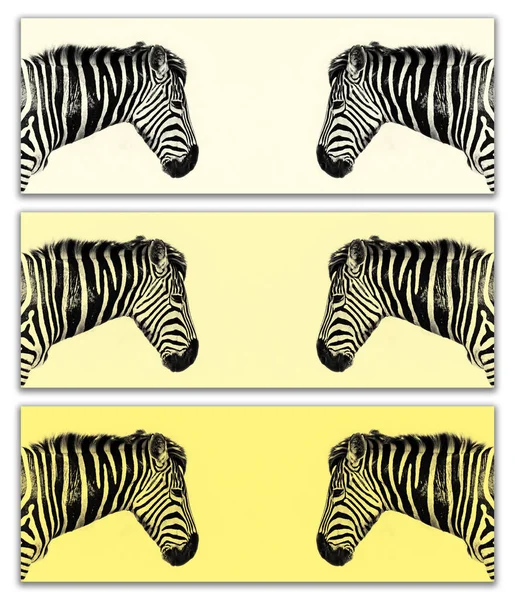 Tríptico Zebra Planícies em tons amarelos — Fotografia de Stock