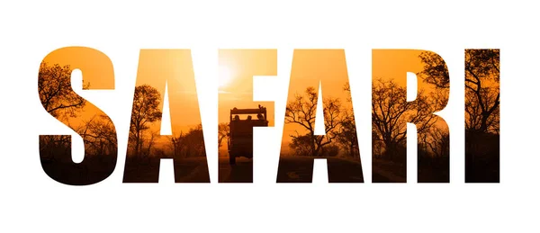 Safari szó naplemente sziluett — Stock Fotó