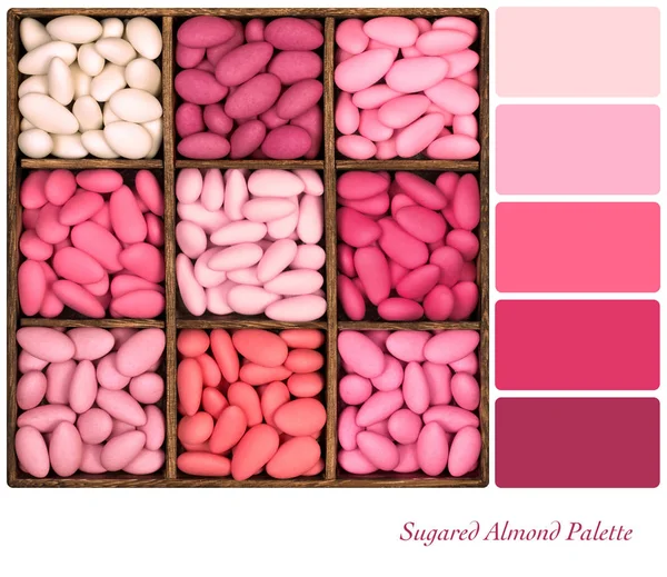 Paleta cukrem migdałów — Zdjęcie stockowe