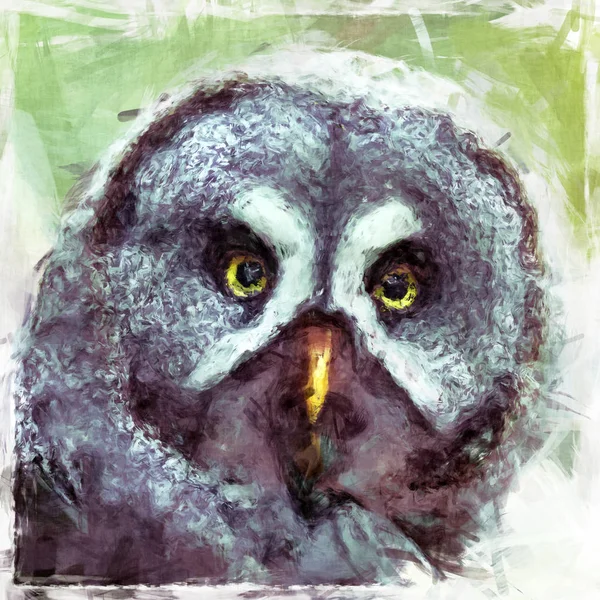 Great Grey Owl painting — Stock Photo, Image