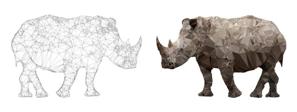 Rhinocéros blanc d'Afrique — Image vectorielle