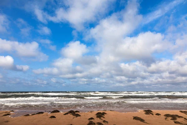 Ruwe Zeeën Grote Sky Thunder Cove Beach Prijs Edward Island — Stockfoto