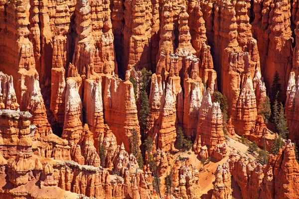 Détail Des Flèches Rocheuses Hoodoo Bryce Canyon Utah Usa — Photo