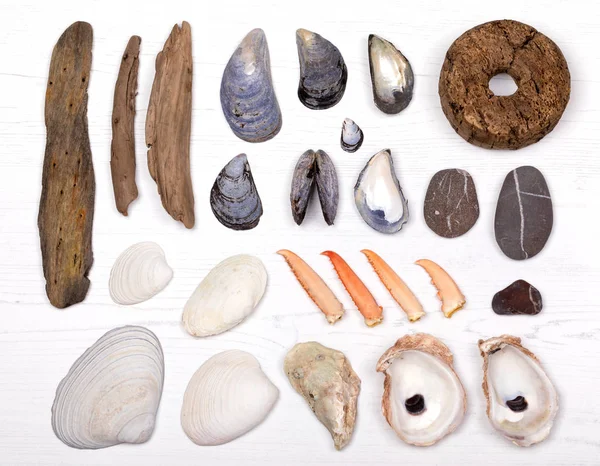 Overhead View Collection Mussel Clam Oyster Shells Lobster Claws Pebbles — Stock Photo, Image