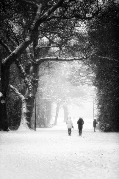 Passeggiate Nel Parco Con Forti Nevicate Invernali — Foto Stock