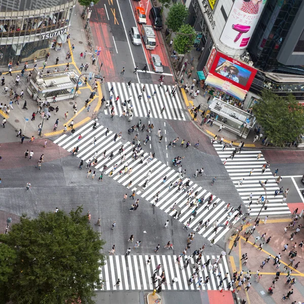 Tokyo Japán Június 2016 Ariel Kilátás Nyílik Forgalmas Shibuya Átkelés — Stock Fotó