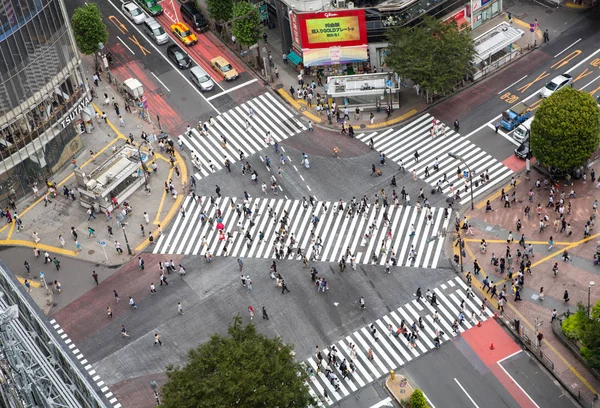 Tokyo Japán Június 2016 Ariel Kilátás Nyílik Forgalmas Shibuya Átkelés — Stock Fotó