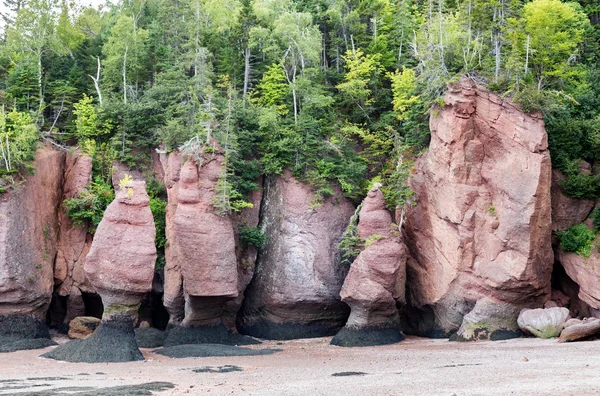 Unusual Rock Formations Hopewell Rocks Bay Fundy New Brunswick Extreme — Stock Photo, Image