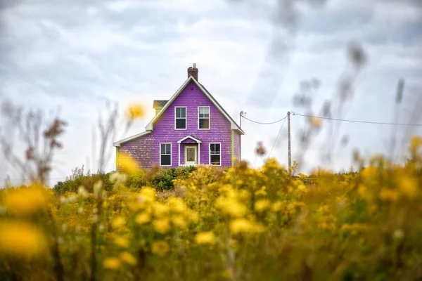 Традиційний Будинок Purple Лузі Жовті Польові Квіти Магдалини Острови — стокове фото