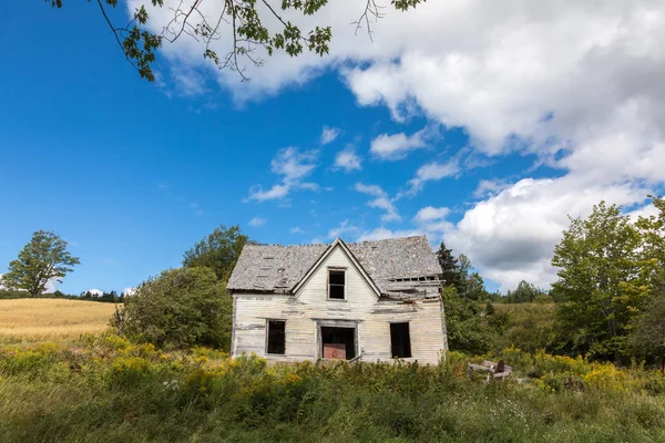 New Brunswick Kanada Terk Edilmiş Evde Aşırı Büyümüş Çayır Yaz — Stok fotoğraf