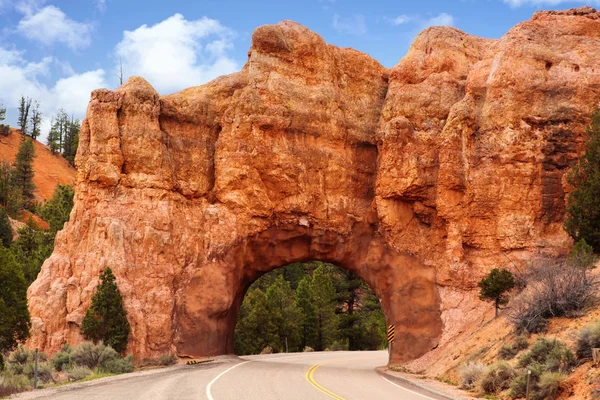 12号公路上的红石拱门到布莱斯峡谷 犹他州 这条人造隧道已经穿过岩石 道路穿过了南部的森林 — 图库照片
