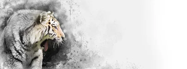 Tigre Siberiano Misto Mídia Digital Pintura Preto Branco Com Toque — Fotografia de Stock
