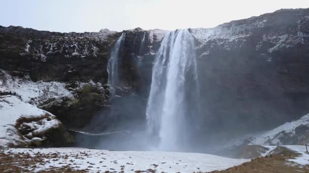 アイスランド南部のSeljalandsfoss滝 この壮大な秋には60メートルの落下があり 火山氷河の起源を持つSeljalands川の一部です — ストック動画