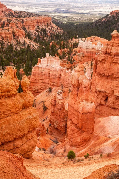Hoodoo Bergspiror Och Vintergröna Träd Bryce Canyon Utah Usa — Stockfoto