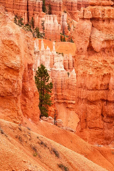 Détail Des Flèches Rocheuses Hoodoo Des Formations Grès Ondulant Bryce — Photo