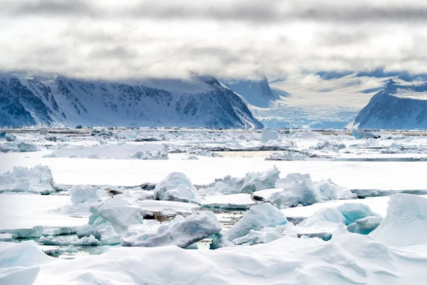 Zapakować Lód Koło Podbiegunowe Stopni Północ Górami Lodowcami Svalbard Ogródku — Zdjęcie stockowe