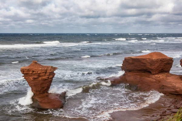 캐나다 프린스 에드워드 아일랜드 해변에서 사성을 나타내는 — 스톡 사진