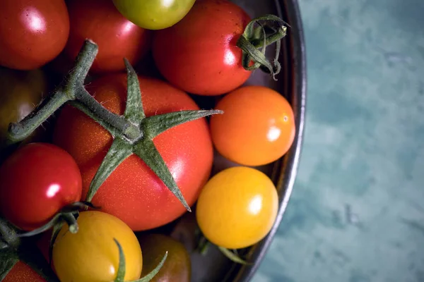 Tomates Coloridos Uma Placa Estanho Sobre Fundo Madeira Velho Pintado — Fotografia de Stock