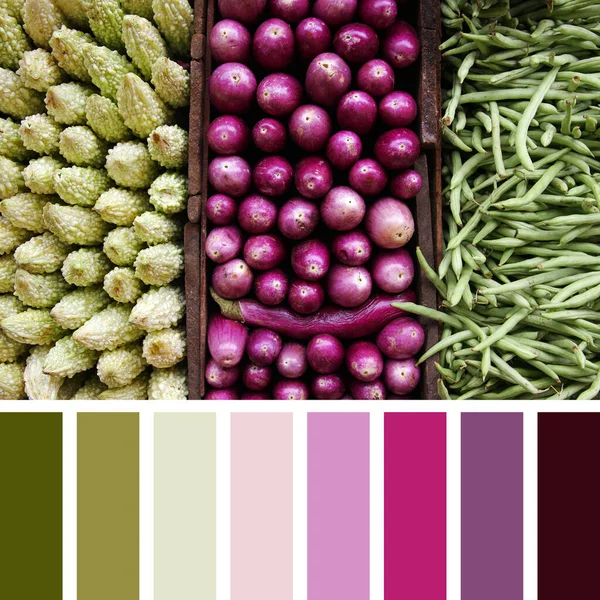 Zöldségek Keserű Tök Padlizsán Zöldbab Triptichonja Színpalettán Ingyenes Színmintákkal — Stock Fotó