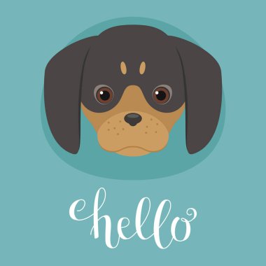 Sevimli köpek yavrusu kafa