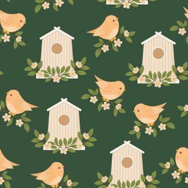 Kuşlar ve kuş evleri bahar/yaz aylarında