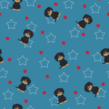 Dachshund ve yıldız