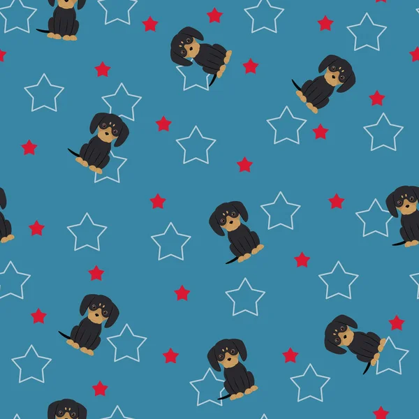 Dachshund ve yıldız