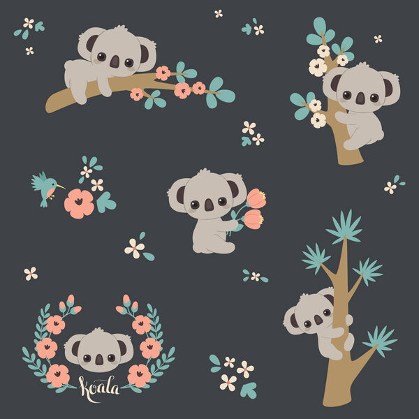 Cute koala in different poses