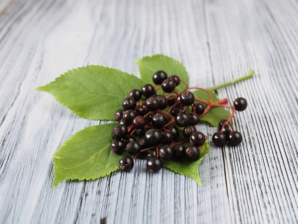 Taze Sambucus Nigra Ahşap Üzerinde — Stok fotoğraf