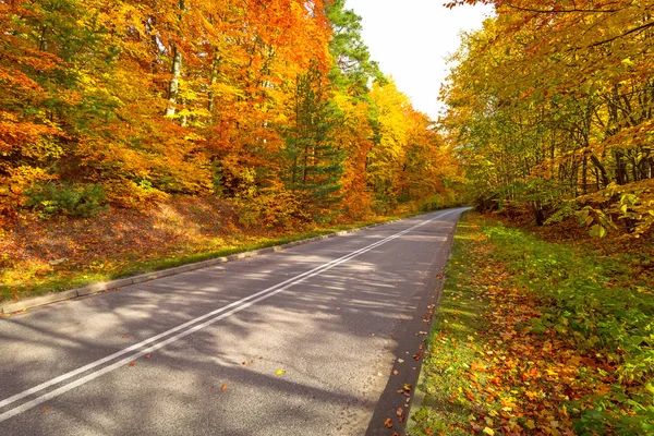 Дорога осенью — стоковое фото