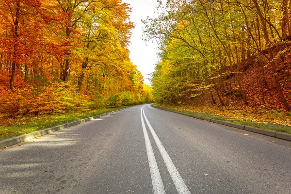 Yol Güz — Stok fotoğraf