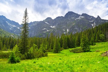 Tatra Dağları'nda Trail güzel sahne