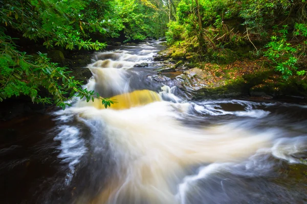 Irish creek of Clare Glens — Stock Photo, Image