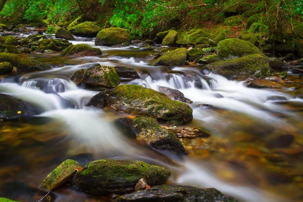 Irish creek of Clare Glens — Stock Photo, Image
