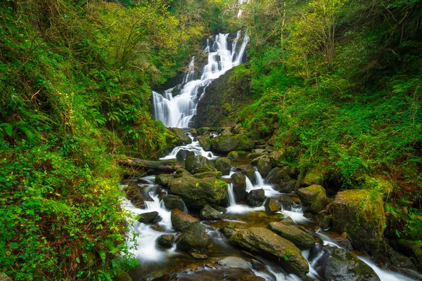 Orc wodospadu w parku narodowym Killarney — Zdjęcie stockowe