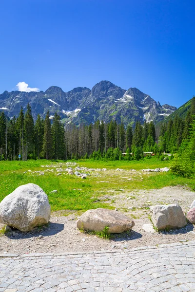 Hermoso paisaje del sendero en las montañas de Tatra — Foto de Stock