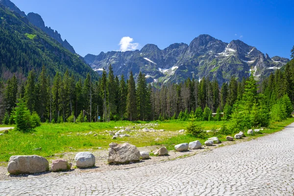Hermoso paisaje del sendero en las montañas de Tatra — Foto de Stock