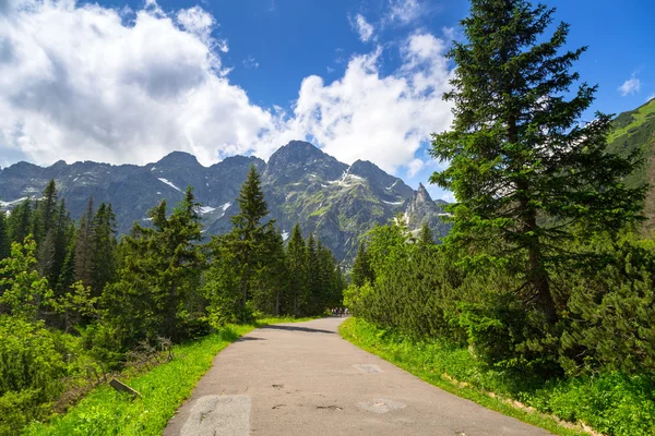 Hermoso paisaje del sendero en las montañas de Tatra — Foto de Stock