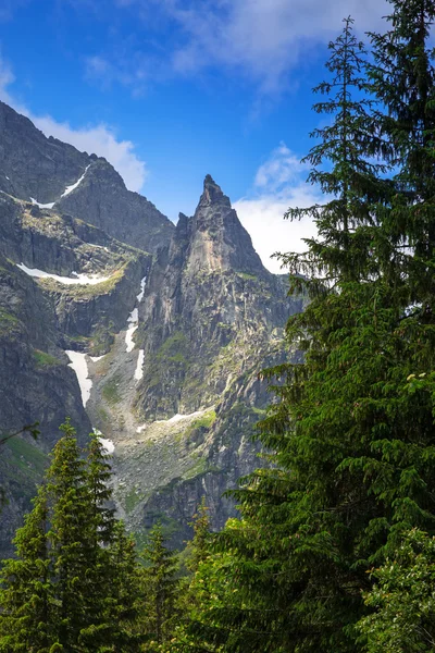 Schöne Landschaft des Weges in der Tatra — Stockfoto