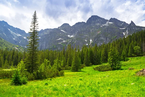 Bellissimo scenario del sentiero in montagna Tatra — Foto Stock
