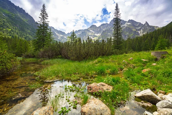 Bellissimo scenario del sentiero in montagna Tatra — Foto Stock