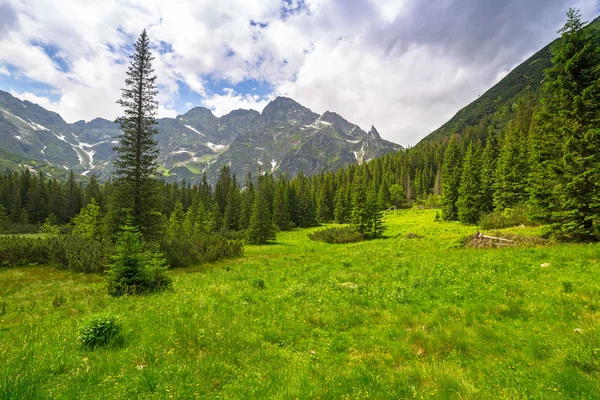 Piękne dekoracje szlak w Tatrach — Zdjęcie stockowe